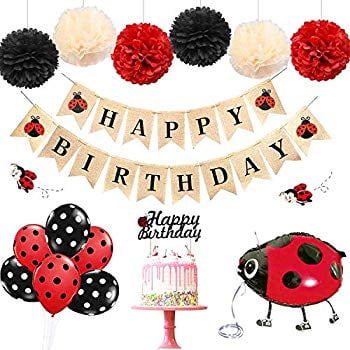 Ladybug Banner Ladybug Birthday BannerLadybug Party Decorations